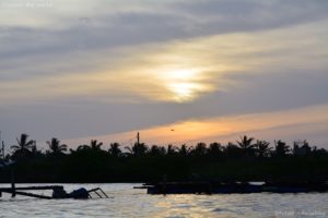 Mehr über den Artikel erfahren  Negombo – Gemütliches ankommen und eintauchen in ein neues Land